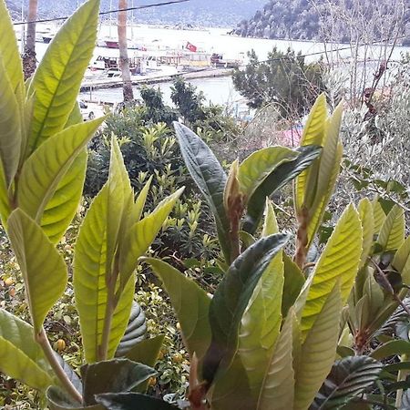 Cennet Pansiyon Hotel Kaleucagız Екстериор снимка