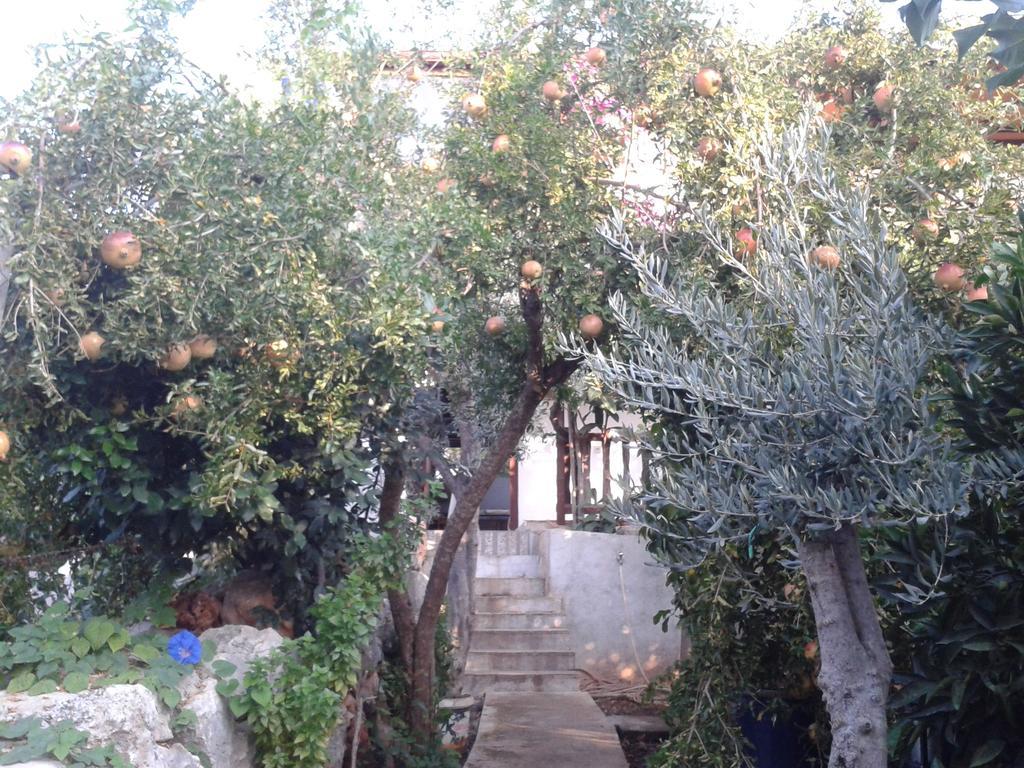 Cennet Pansiyon Hotel Kaleucagız Екстериор снимка